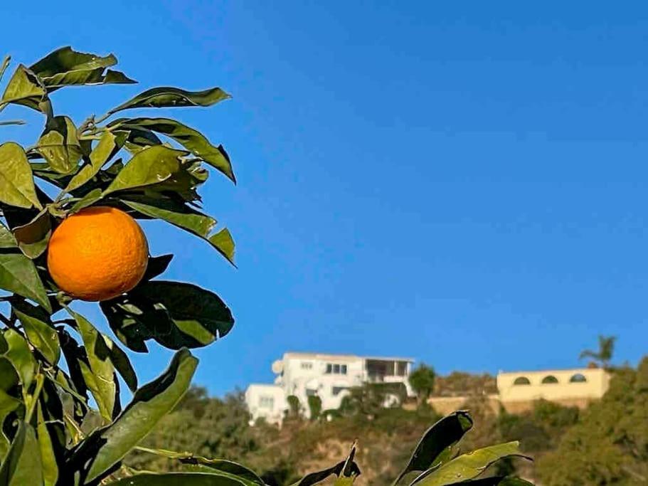 Villa Los Faramondos Naturehouse