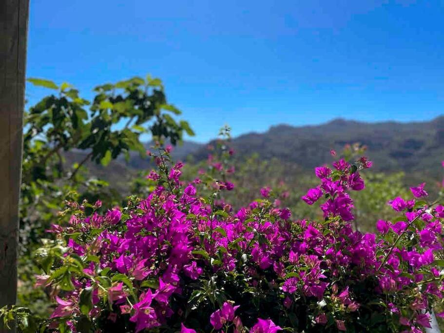 Villa Los Faramondos Naturehouse