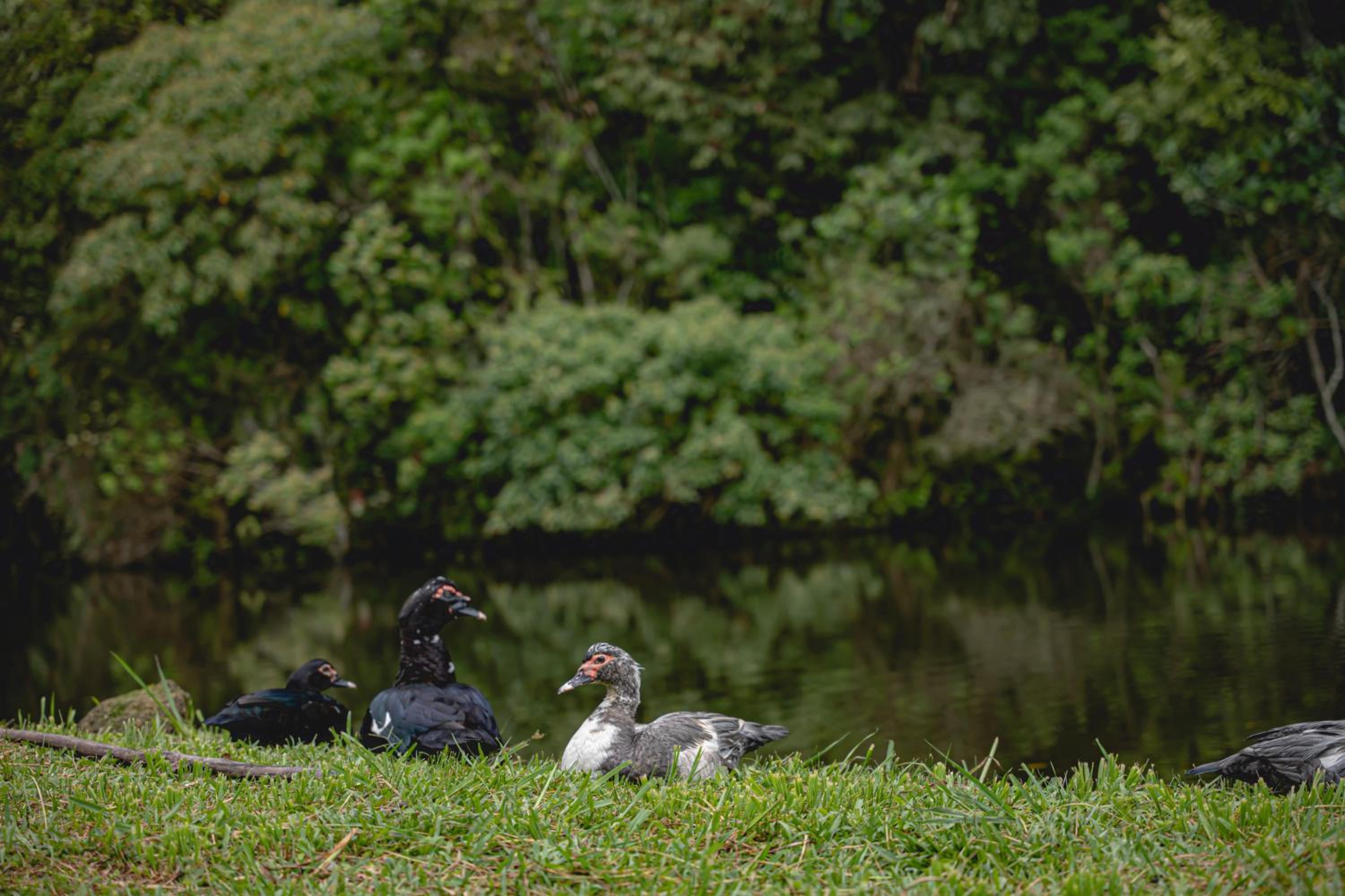 Reserva Mata Grande - Nature Park