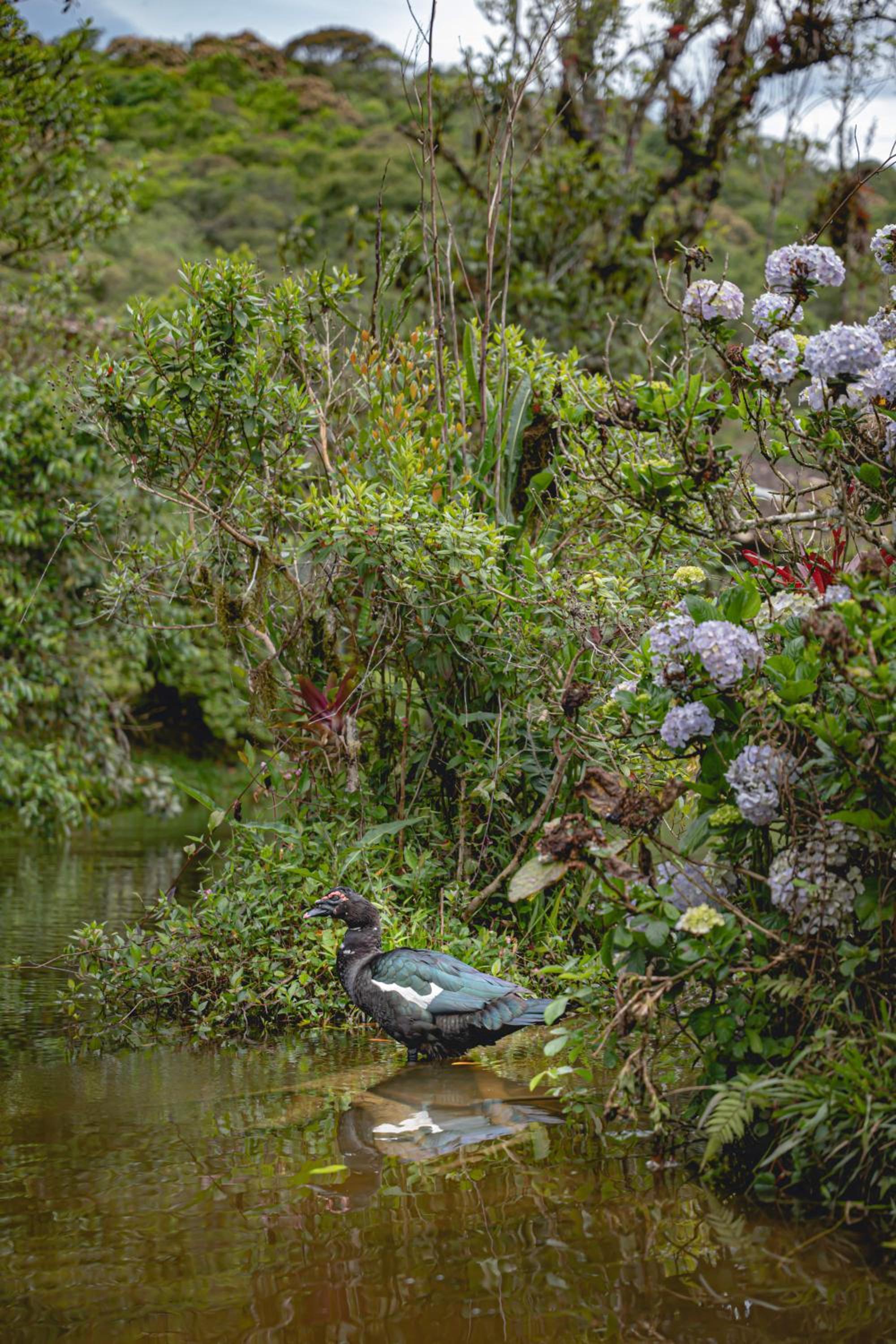Reserva Mata Grande - Nature Park