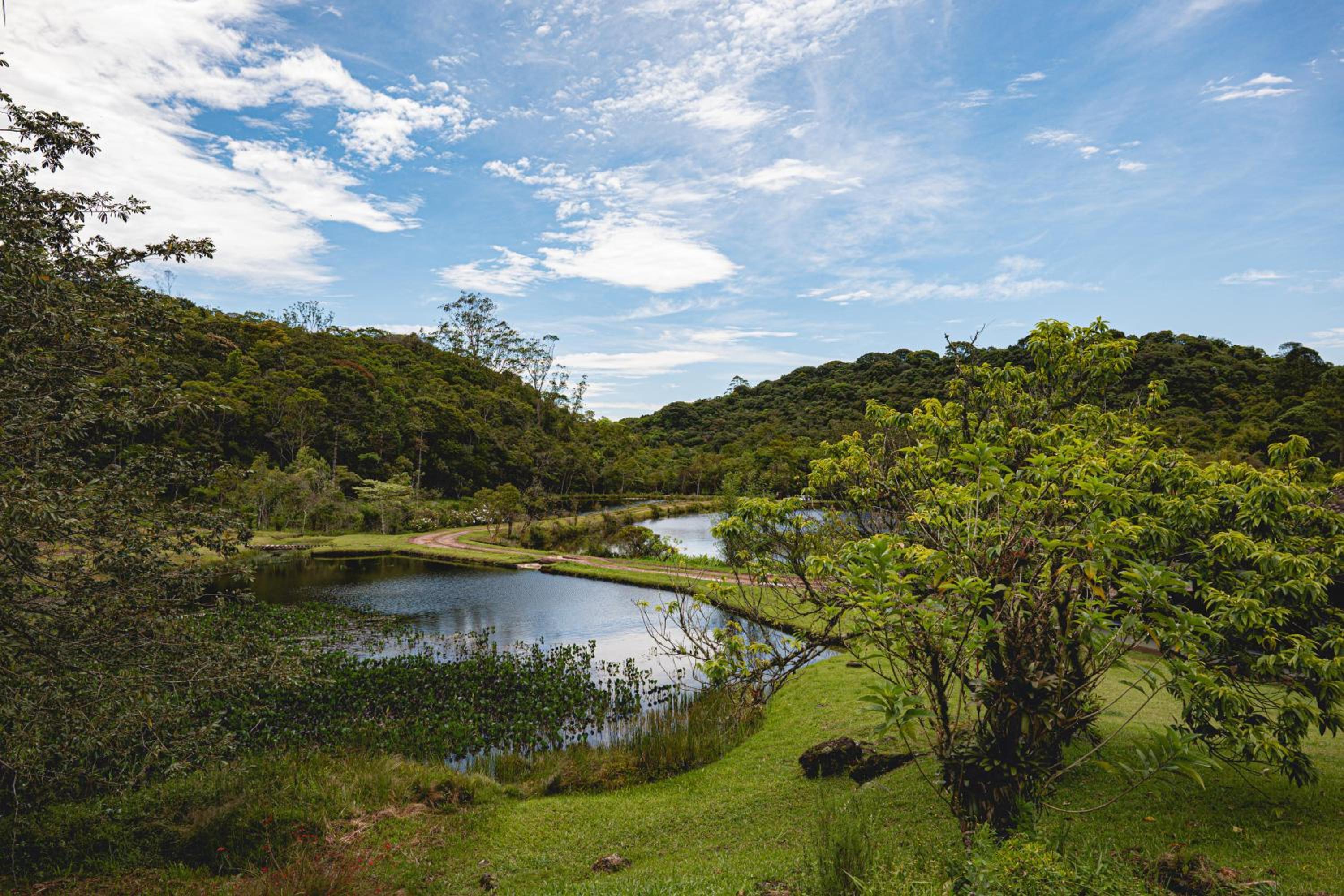 Reserva Mata Grande - Nature Park