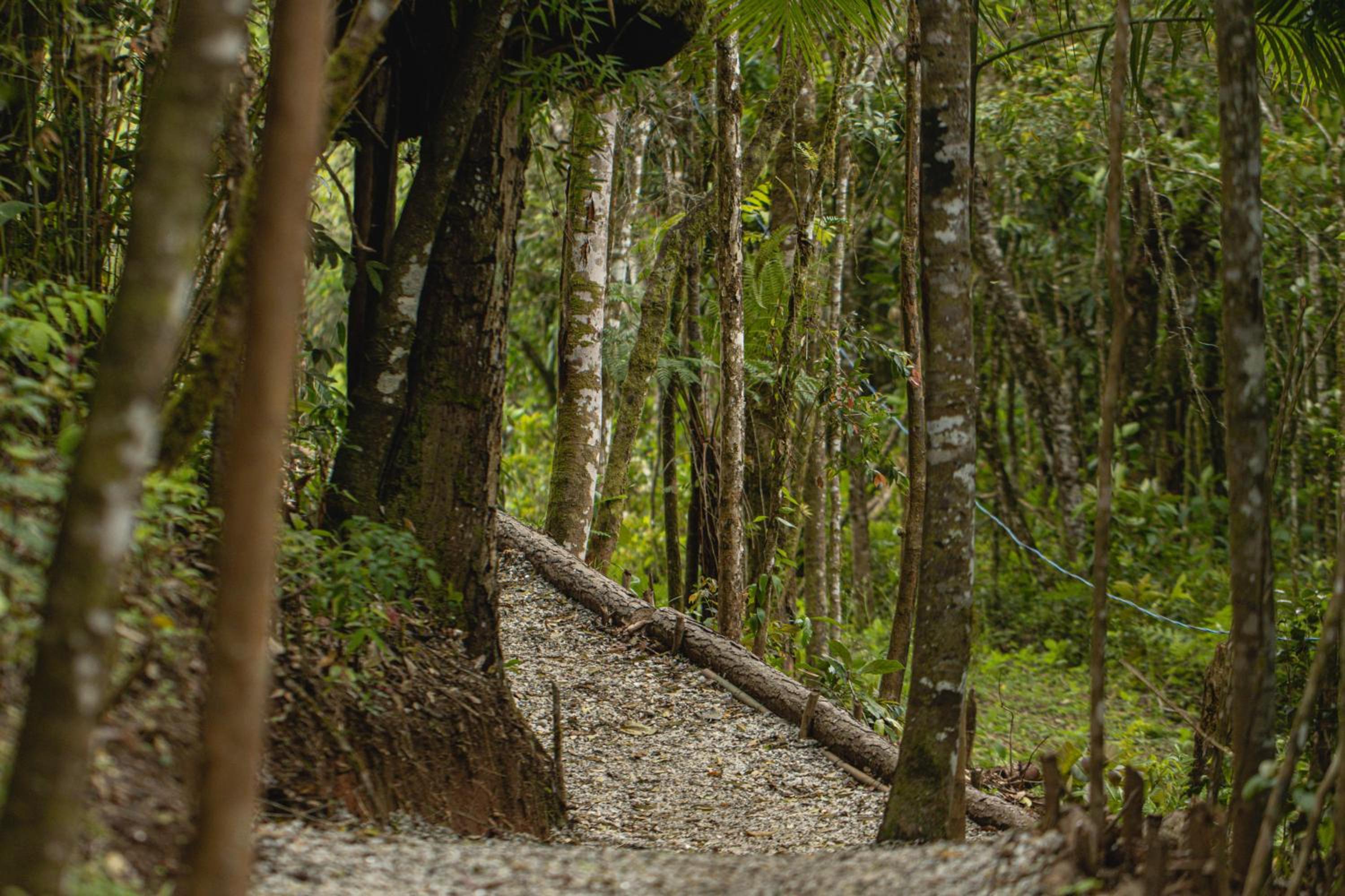 Reserva Mata Grande - Nature Park