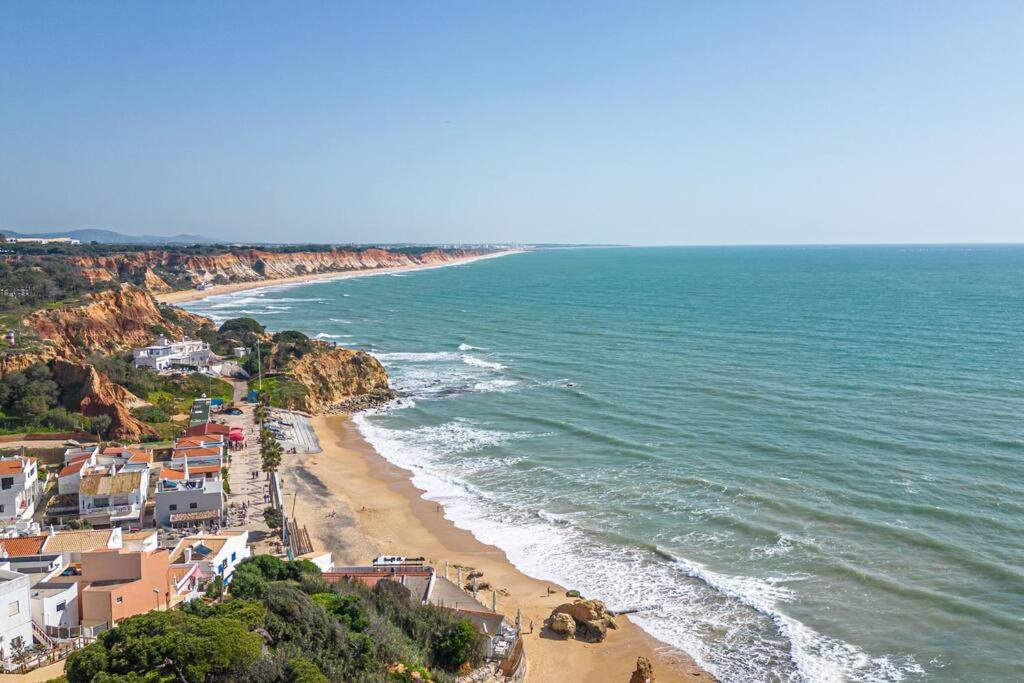Modern 2BR Rooftop Pool 2 Min Walk to beach view 3