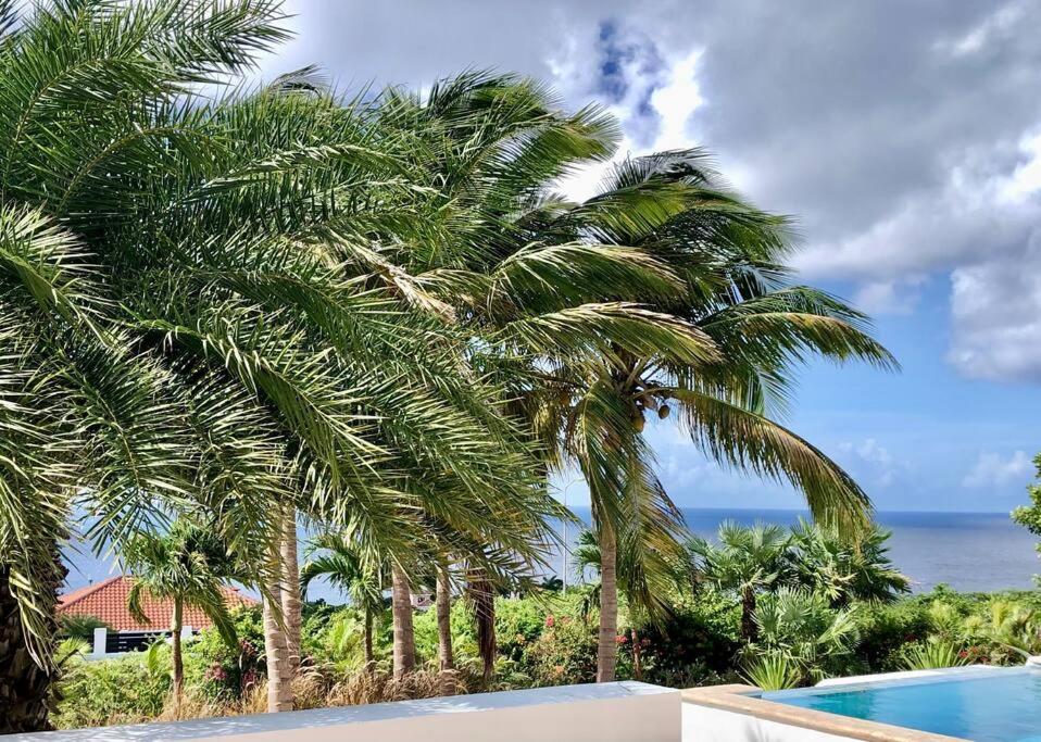 VillaDelSol-Ocean Front Resort-Pool-up to 8 Guests-Walk to the Beach