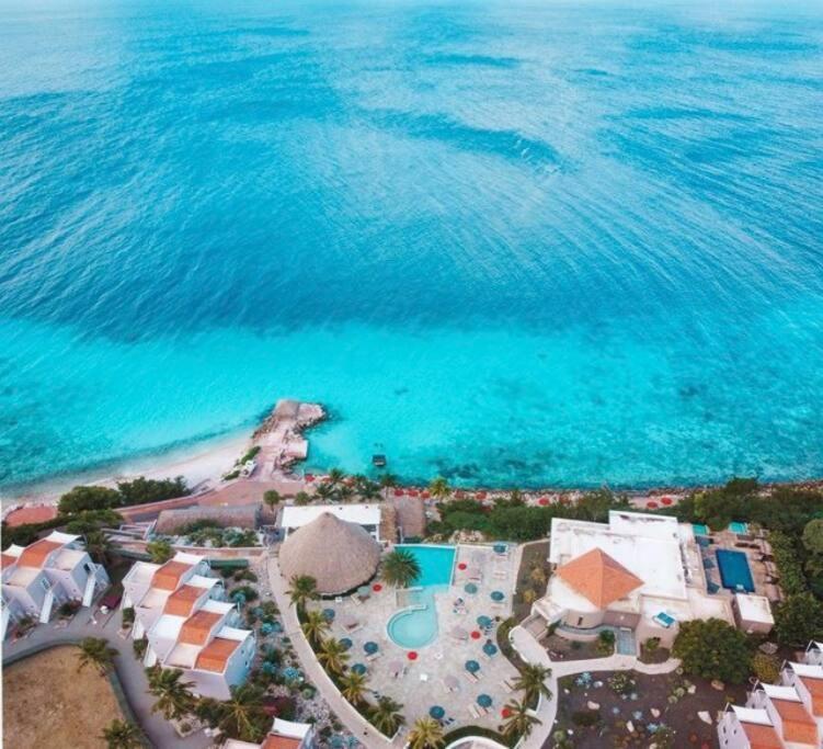 VillaDelSol-Ocean Front Resort-Pool-up to 8 Guests-Walk to the Beach