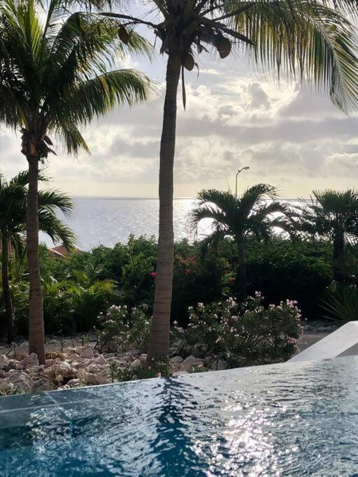 VillaDelSol-Ocean Front Resort-Pool-up to 8 Guests-Walk to the Beach