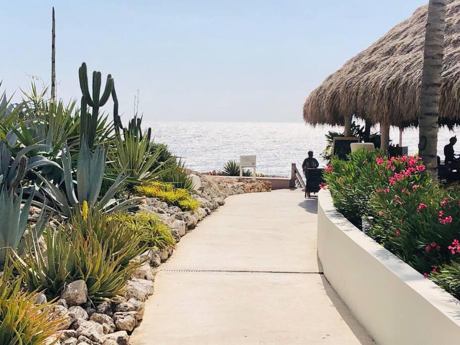 VillaDelSol-Ocean Front Resort-Pool-up to 8 Guests-Walk to the Beach