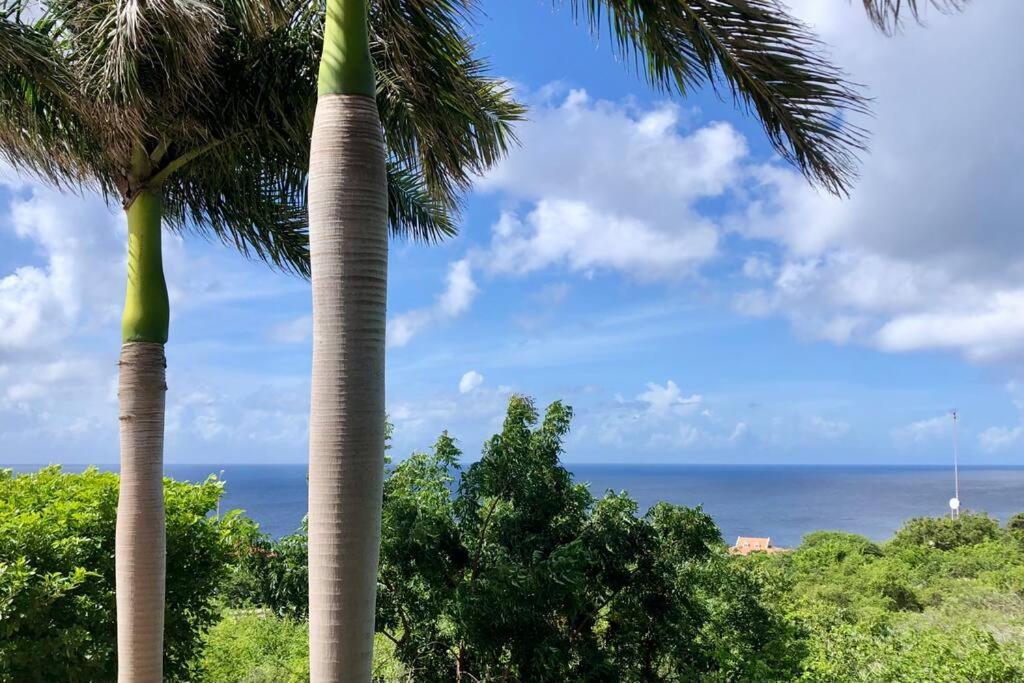 VillaDelSol-Ocean Front Resort-Pool-up to 8 Guests-Walk to the Beach