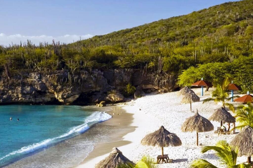 VillaDelSol-Ocean Front Resort-Pool-up to 8 Guests-Walk to the Beach