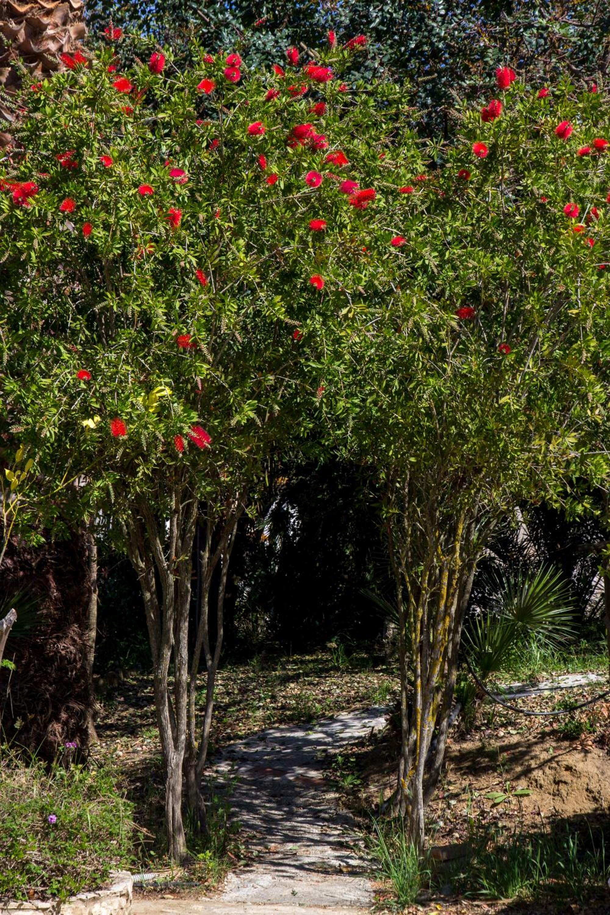 Agriturismo Tarantola