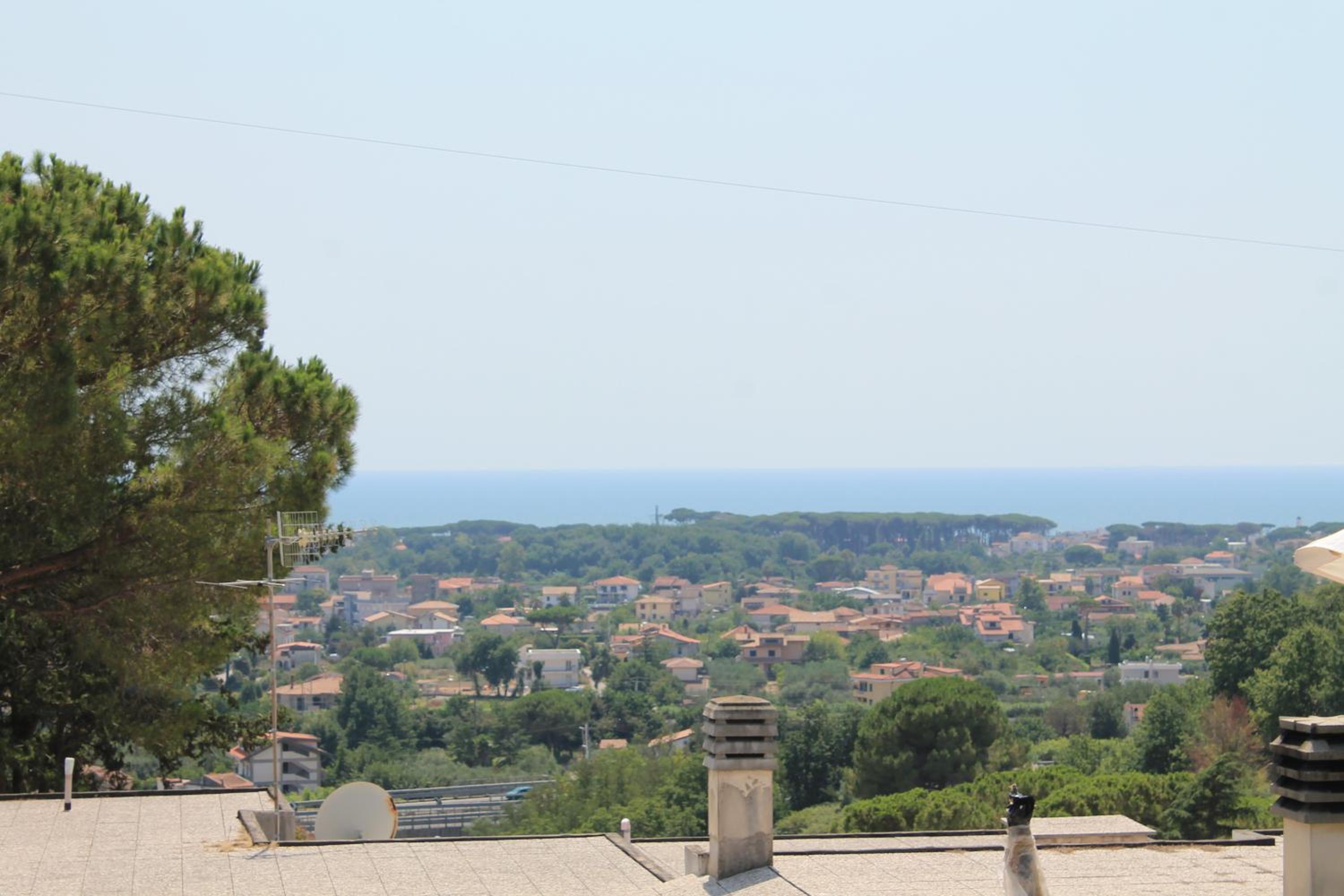 Photo 43