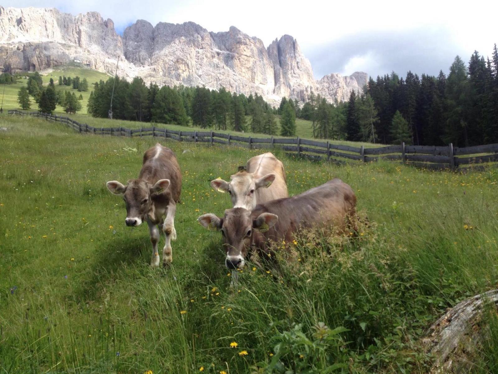Messner Hof en Tires