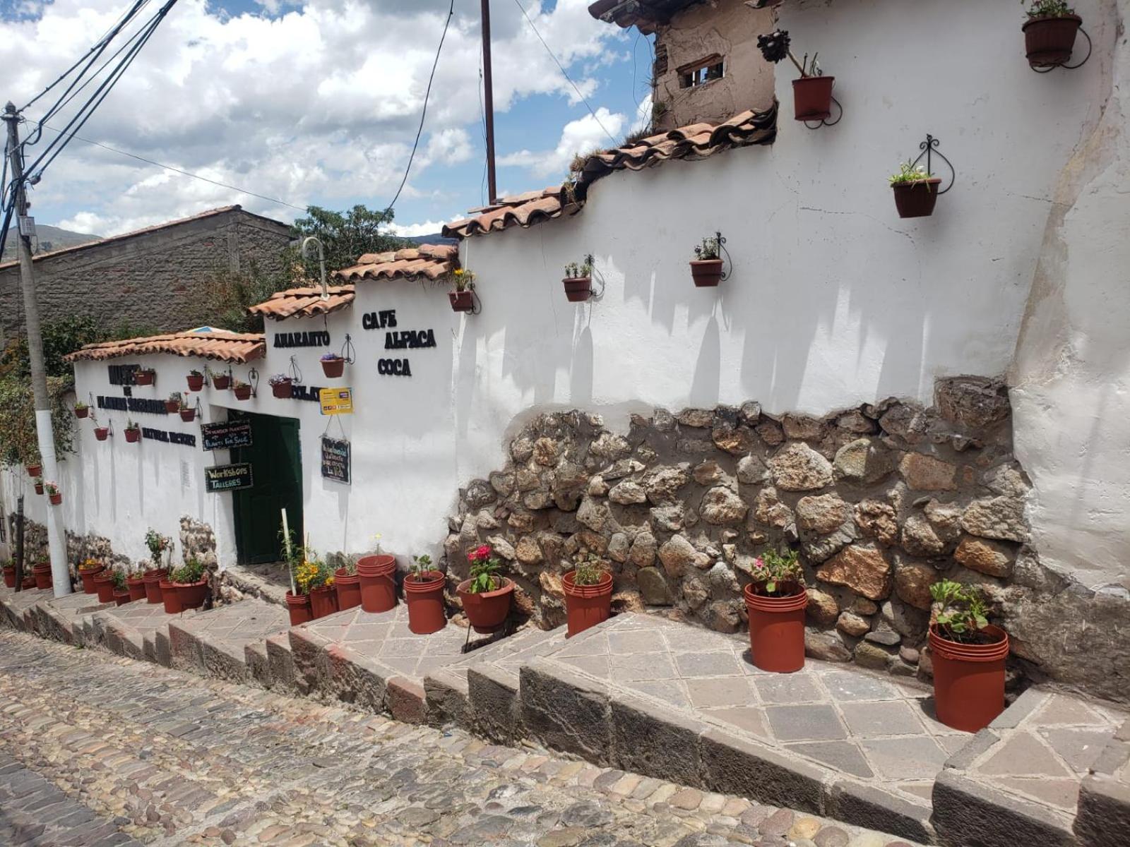 El Jardín de Jeni