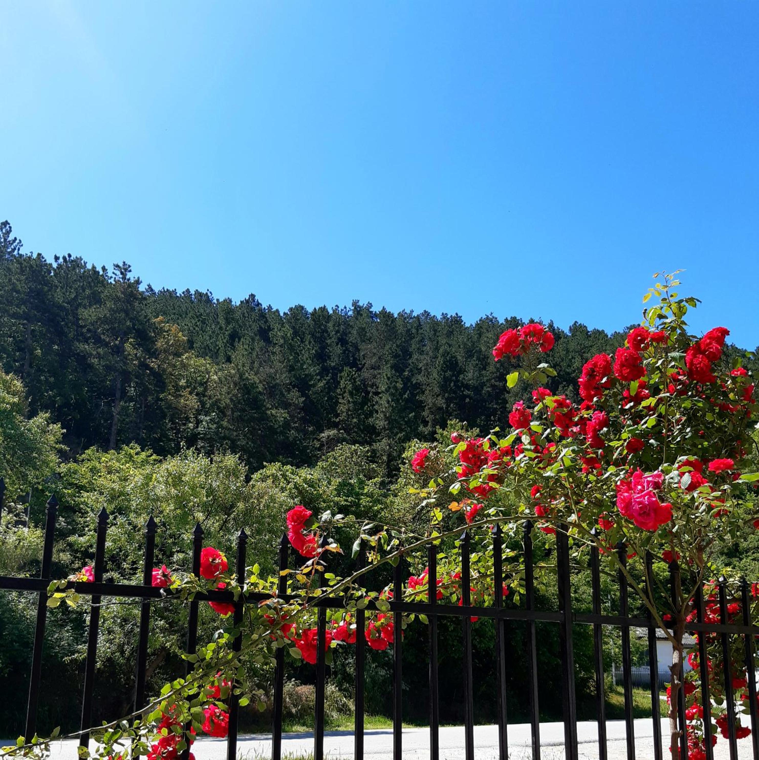 Petar studio apartments Ohrid