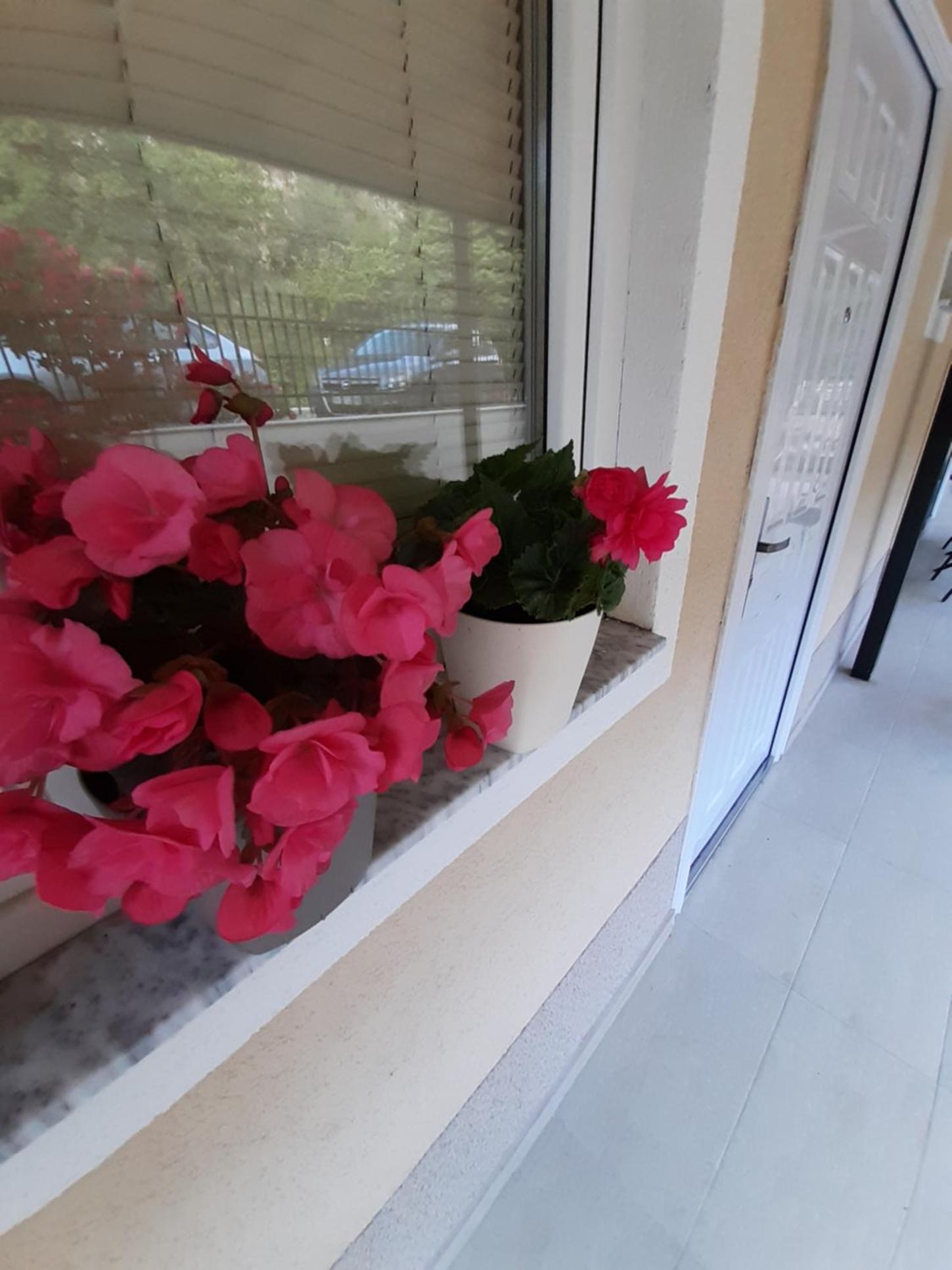Petar studio apartments Ohrid