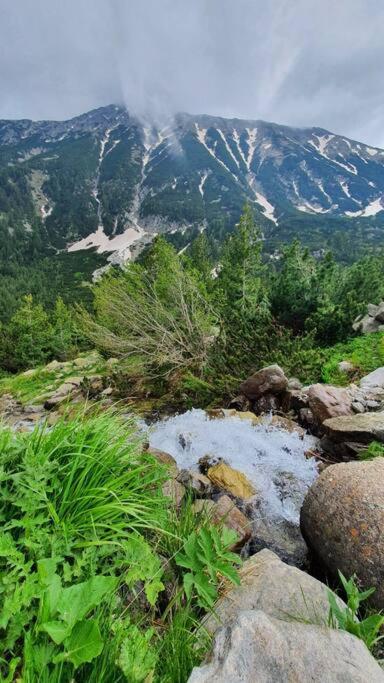 Bansko Vacations - Belvedere Holidey Clab apartament L403 - Property Image 43
