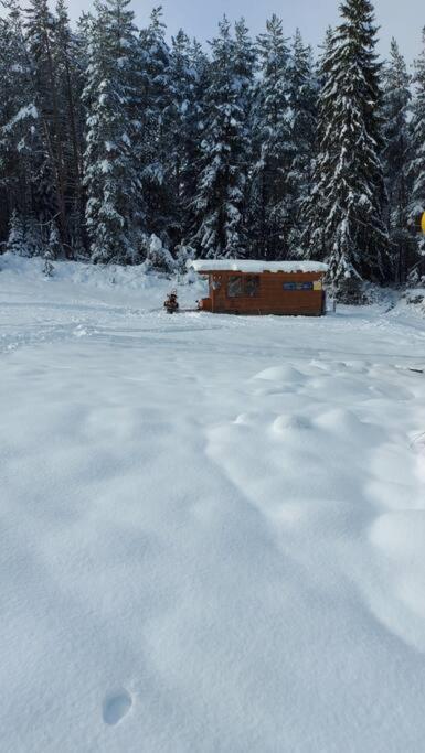 Bansko Vacations - Belvedere Holidey Clab apartament L403 - Property Image 81
