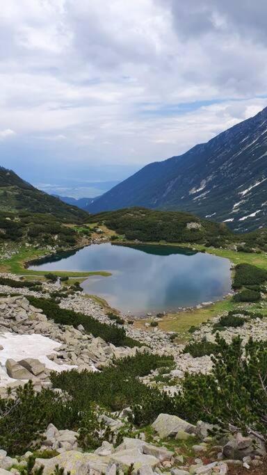 Bansko Vacations - Belvedere Holidey Clab apartament L403 - Property Image 74