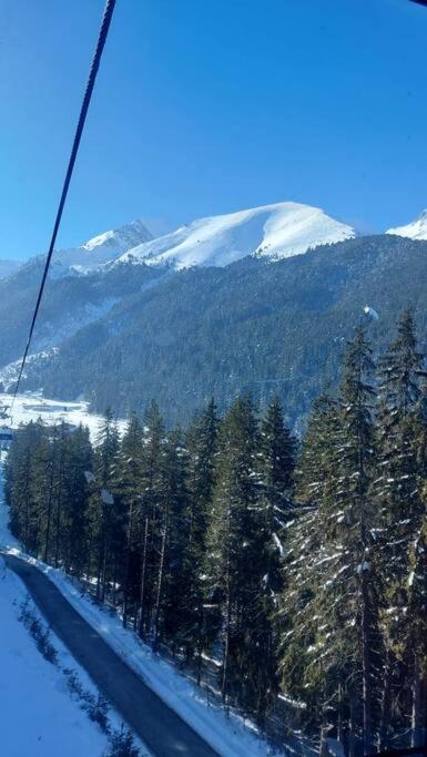 Bansko Vacations - Belvedere Holidey Clab apartament L403 - Property Image 21