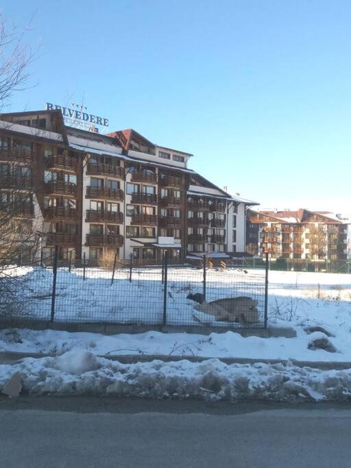 Bansko Vacations - Belvedere Holidey Clab apartament L403 - Property Image 18
