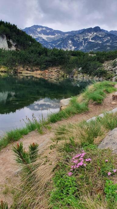 Bansko Vacations - Belvedere Holidey Clab apartament L403 - Property Image 39