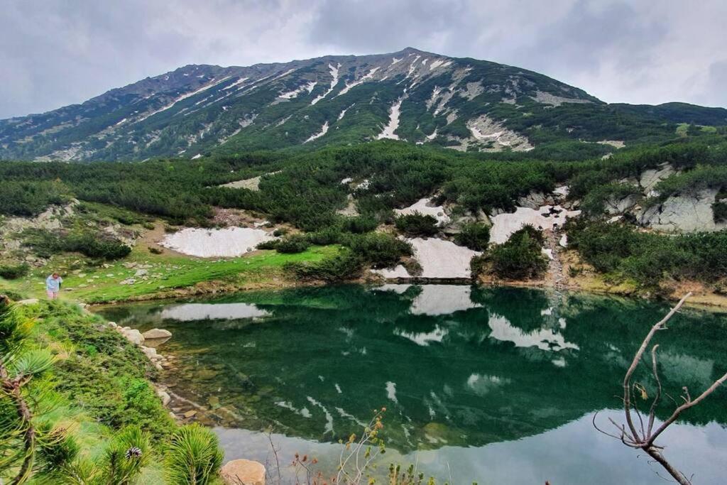Bansko Vacations - Belvedere Holidey Clab apartament L403 - Property Image 30