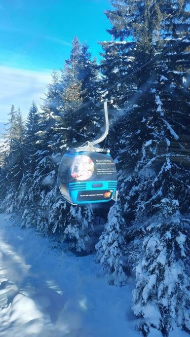 Bansko Vacations - Belvedere Holidey Clab apartament L403 - Property Image 27