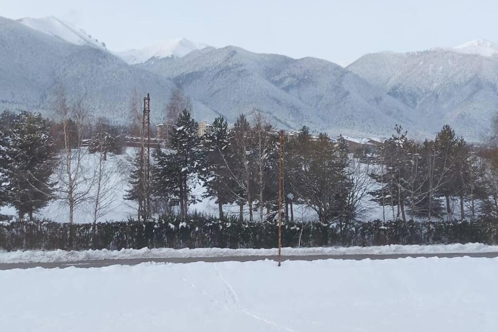 Bansko Vacations - Belvedere Holidey Clab apartament L403 - Property Image 26
