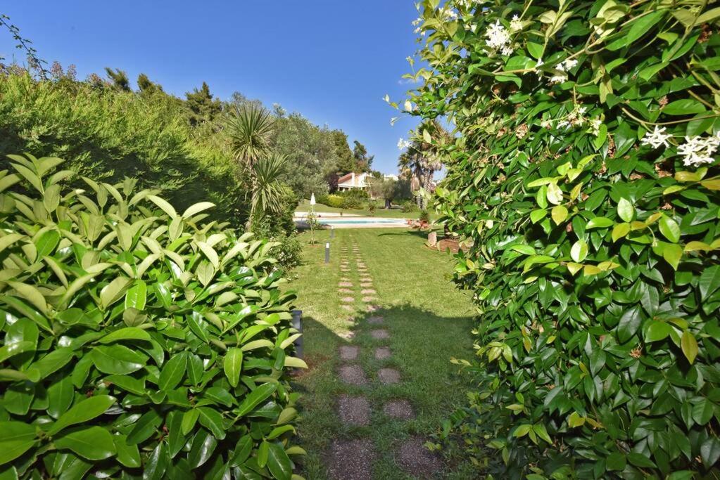 Luxurious Sunny Villa near the beach with a pool view 5