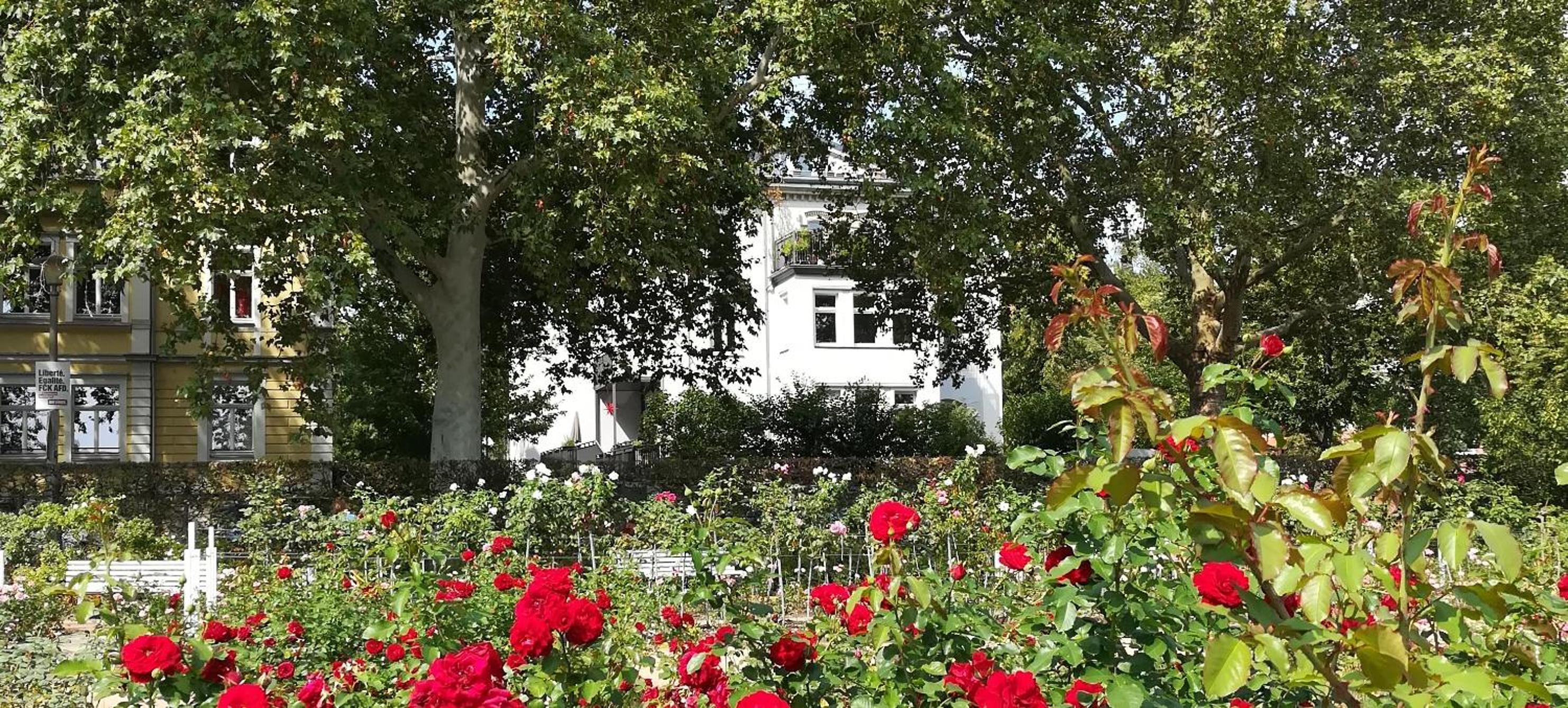 Apartment am Rosengarten