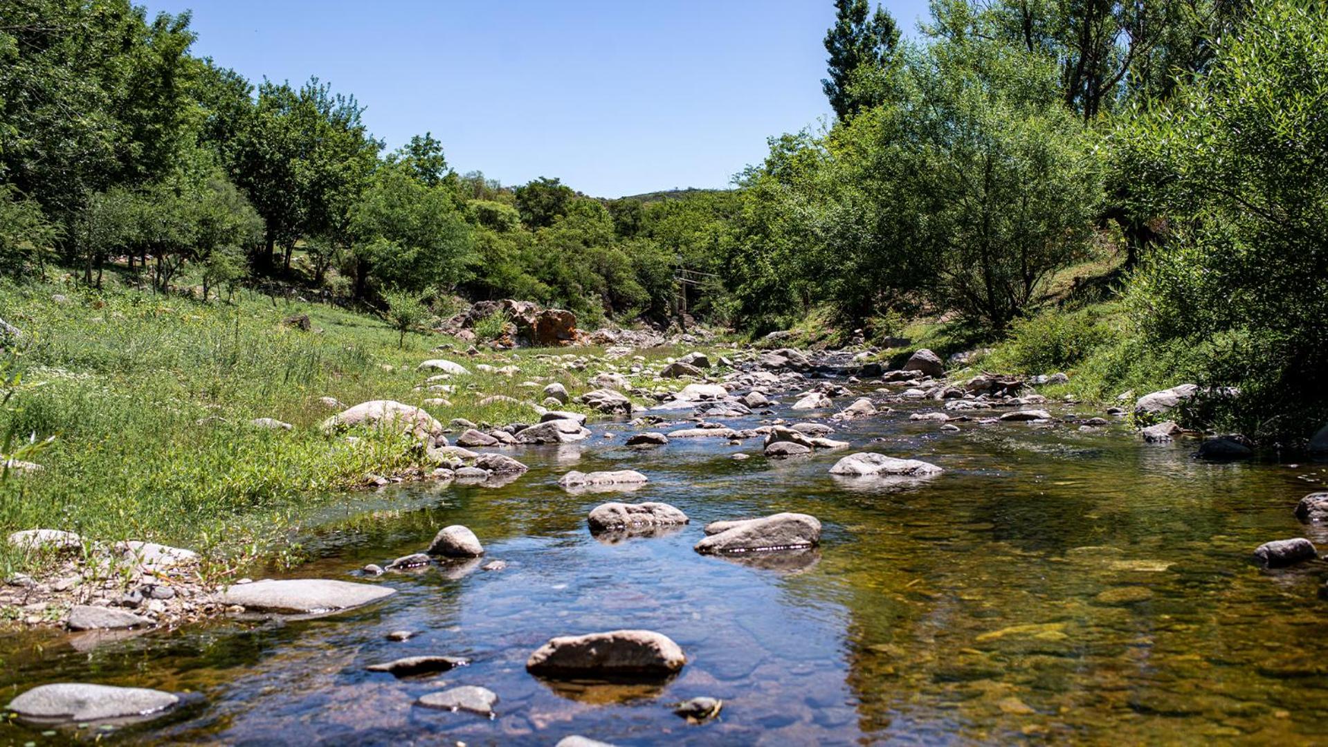 Cabaña Molle by Lugar