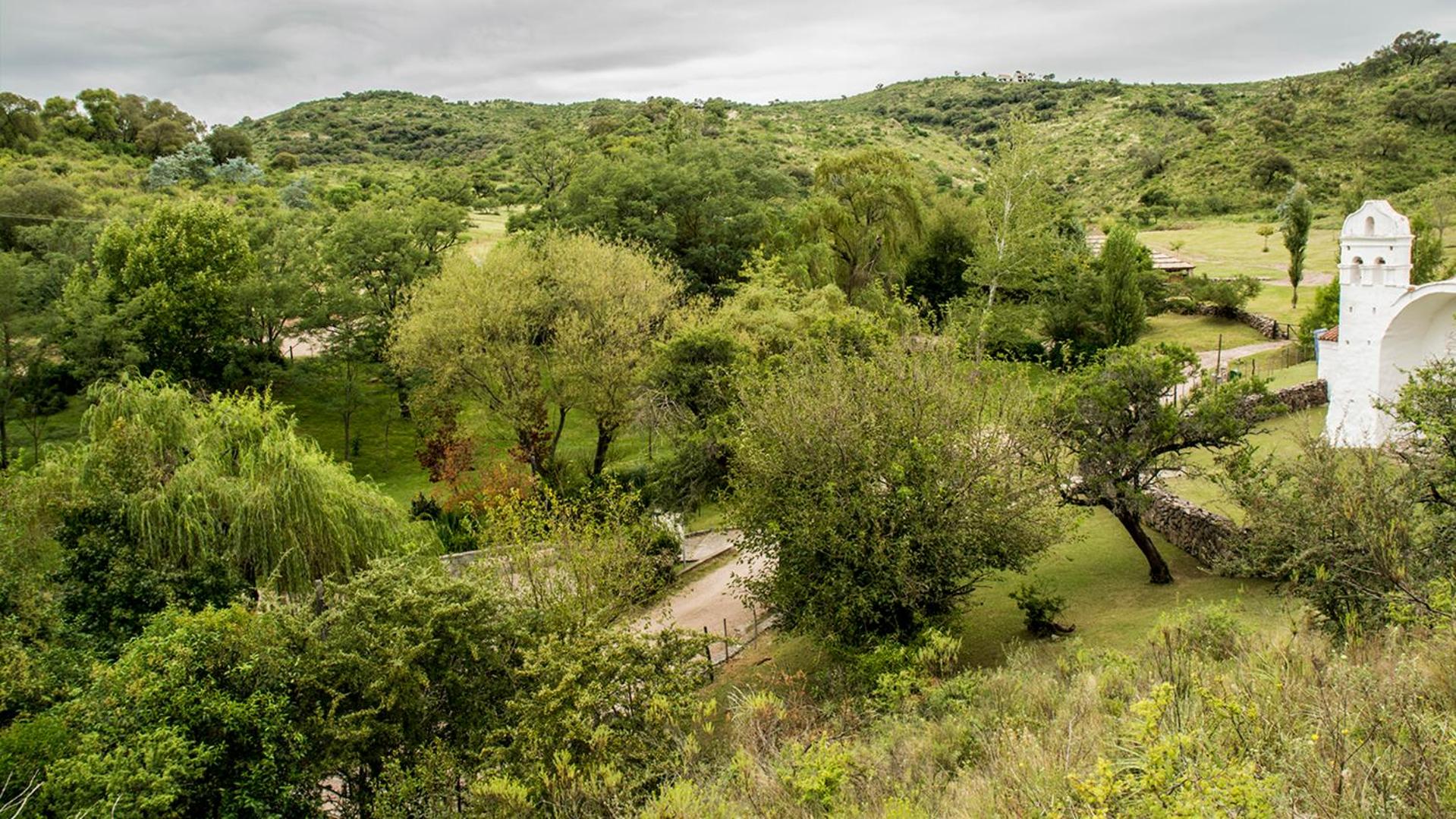 Cabaña Molle by Lugar