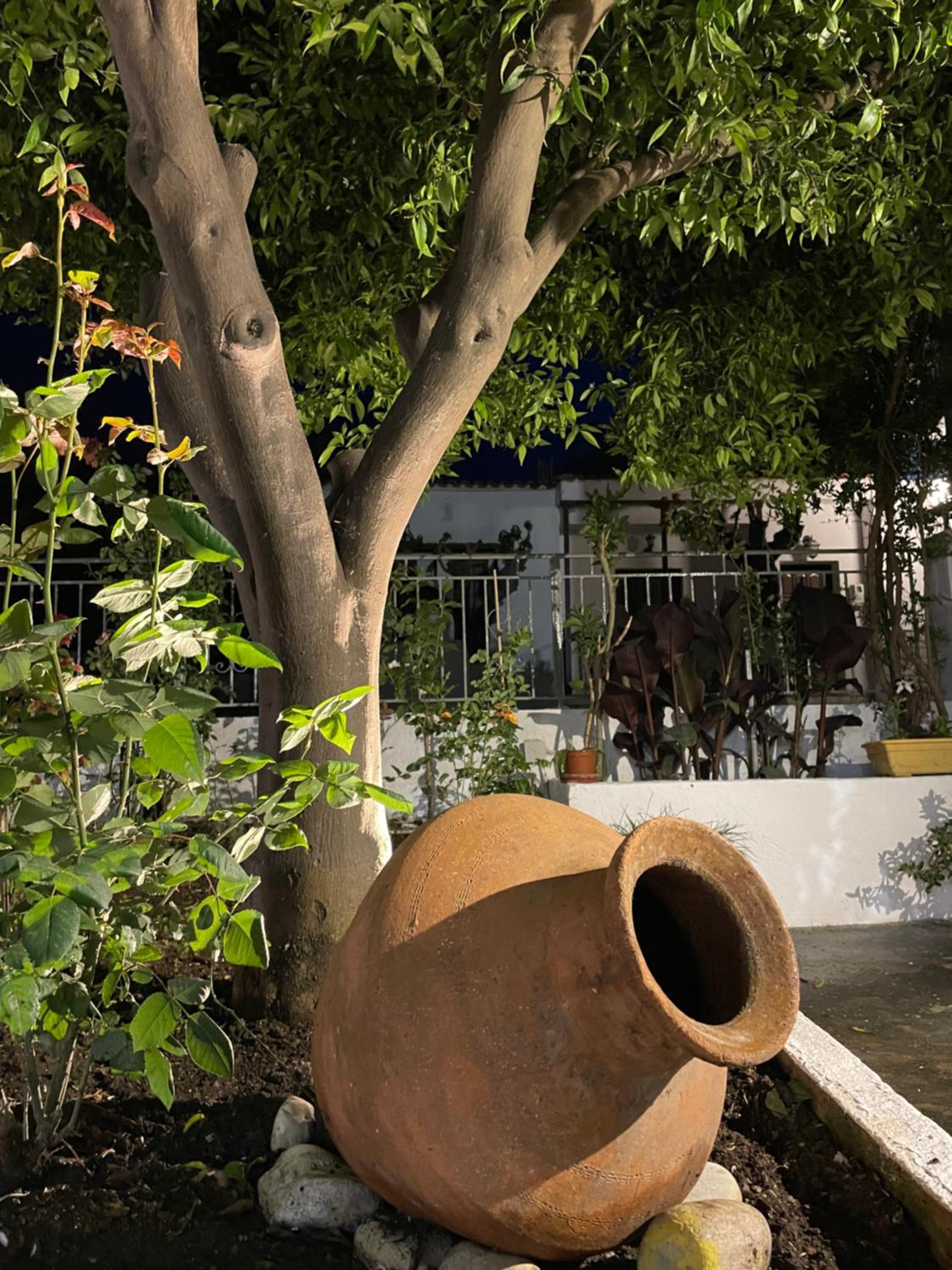 Nina’s Garden