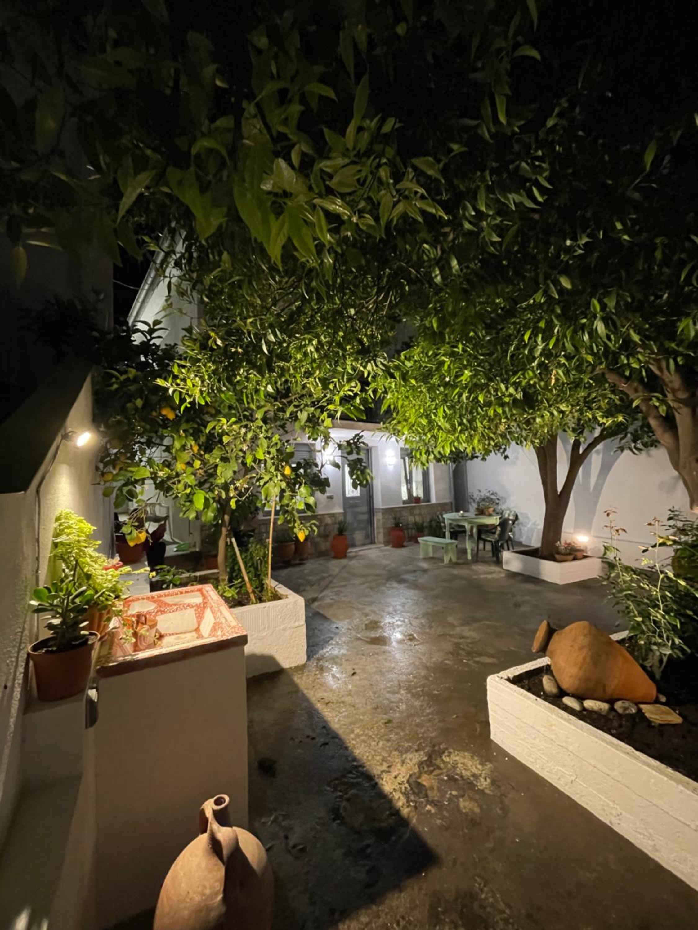 Nina’s Garden