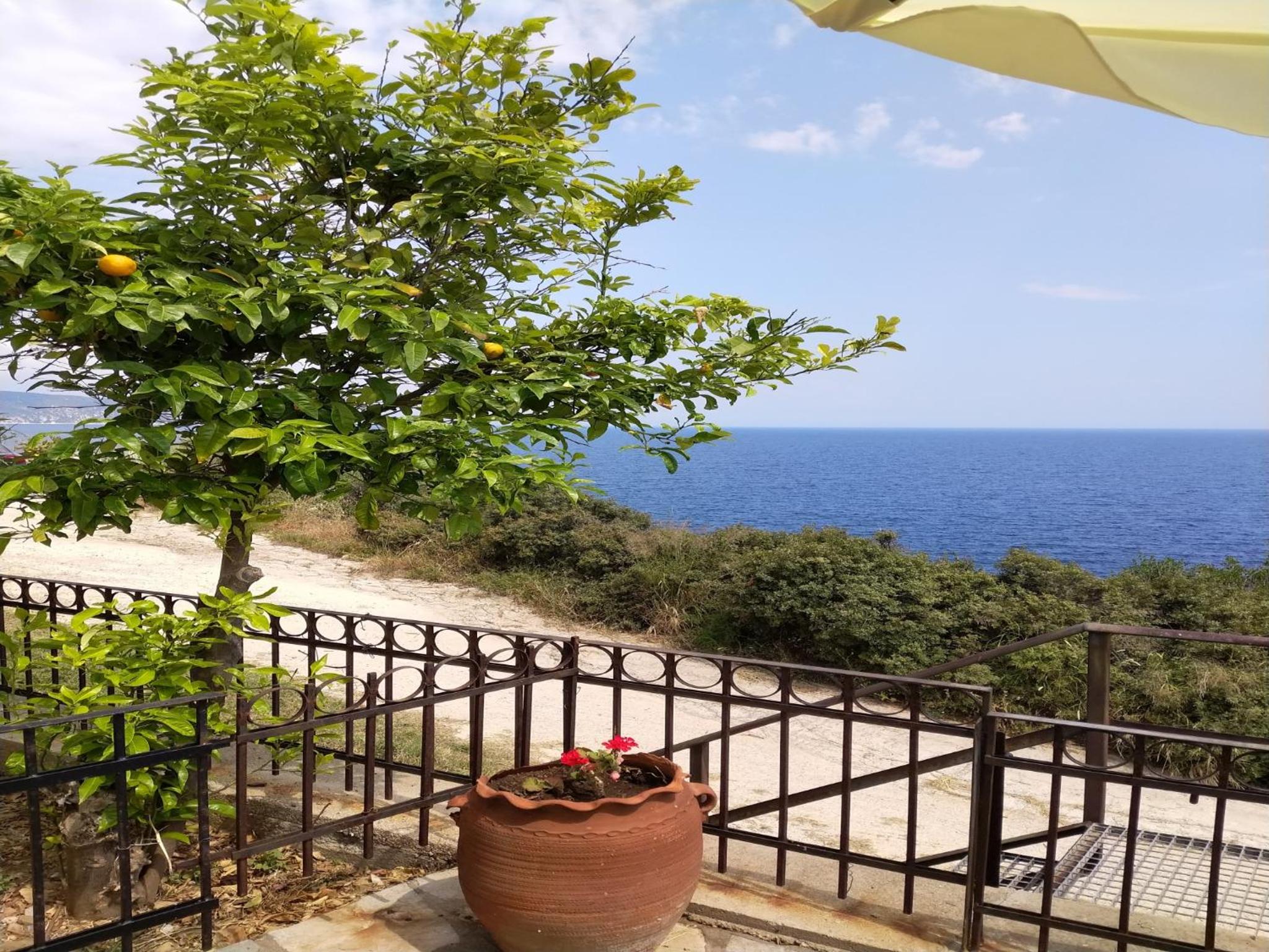 Zennova #3 Mount Athos & Sea View view 5