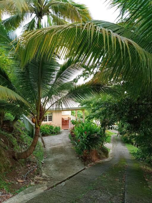 Martinique, la Ptite Maison dans la colline view 5