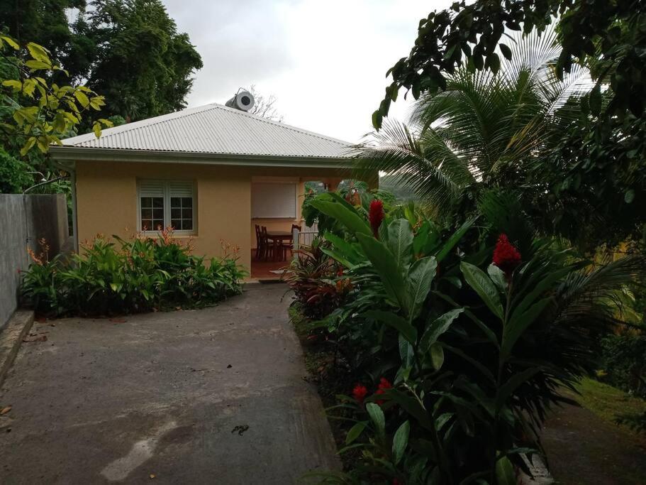 Martinique, la Ptite Maison dans la colline view 3
