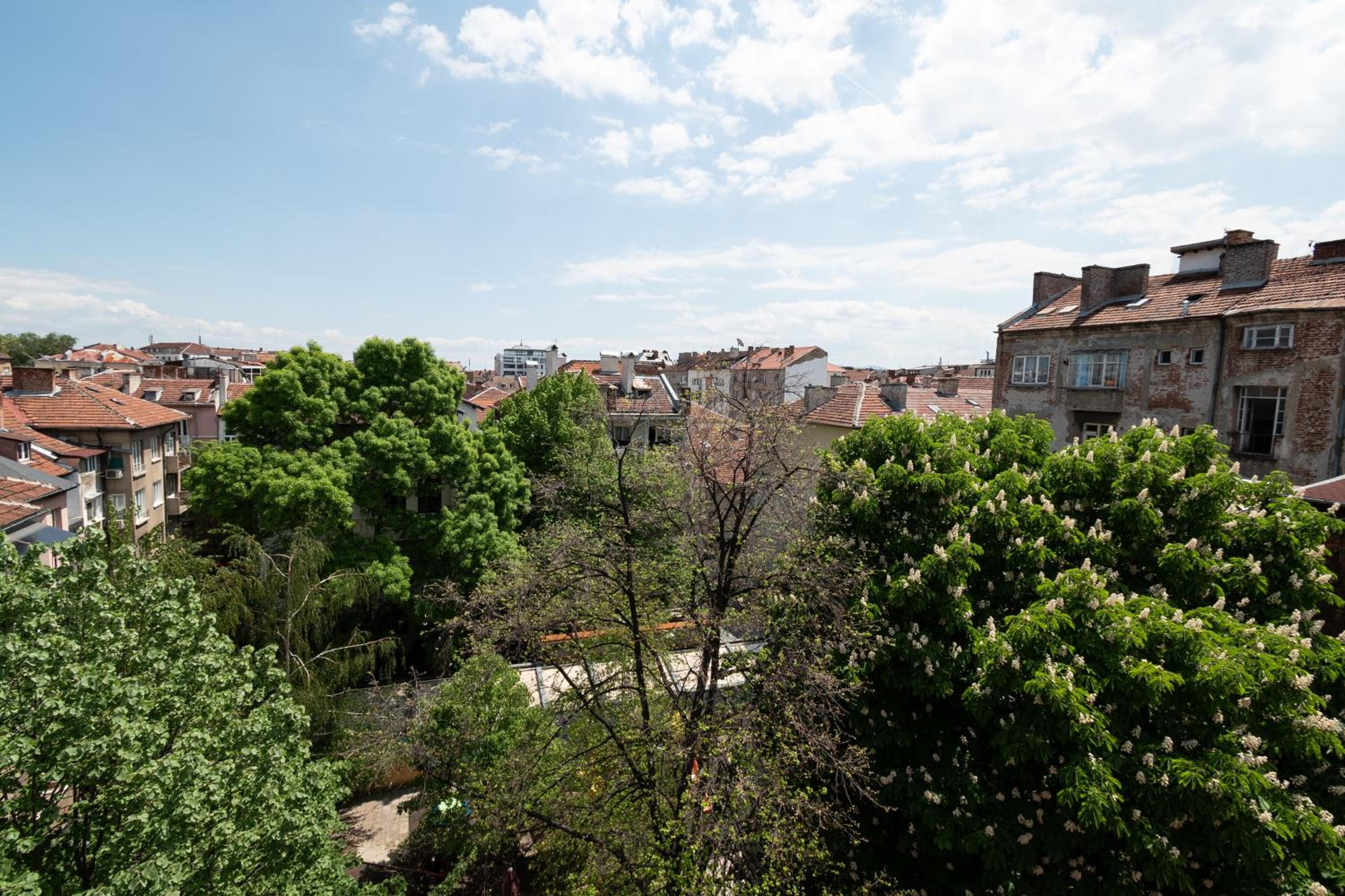 Vitoshka's Finest by BulgarianHomes