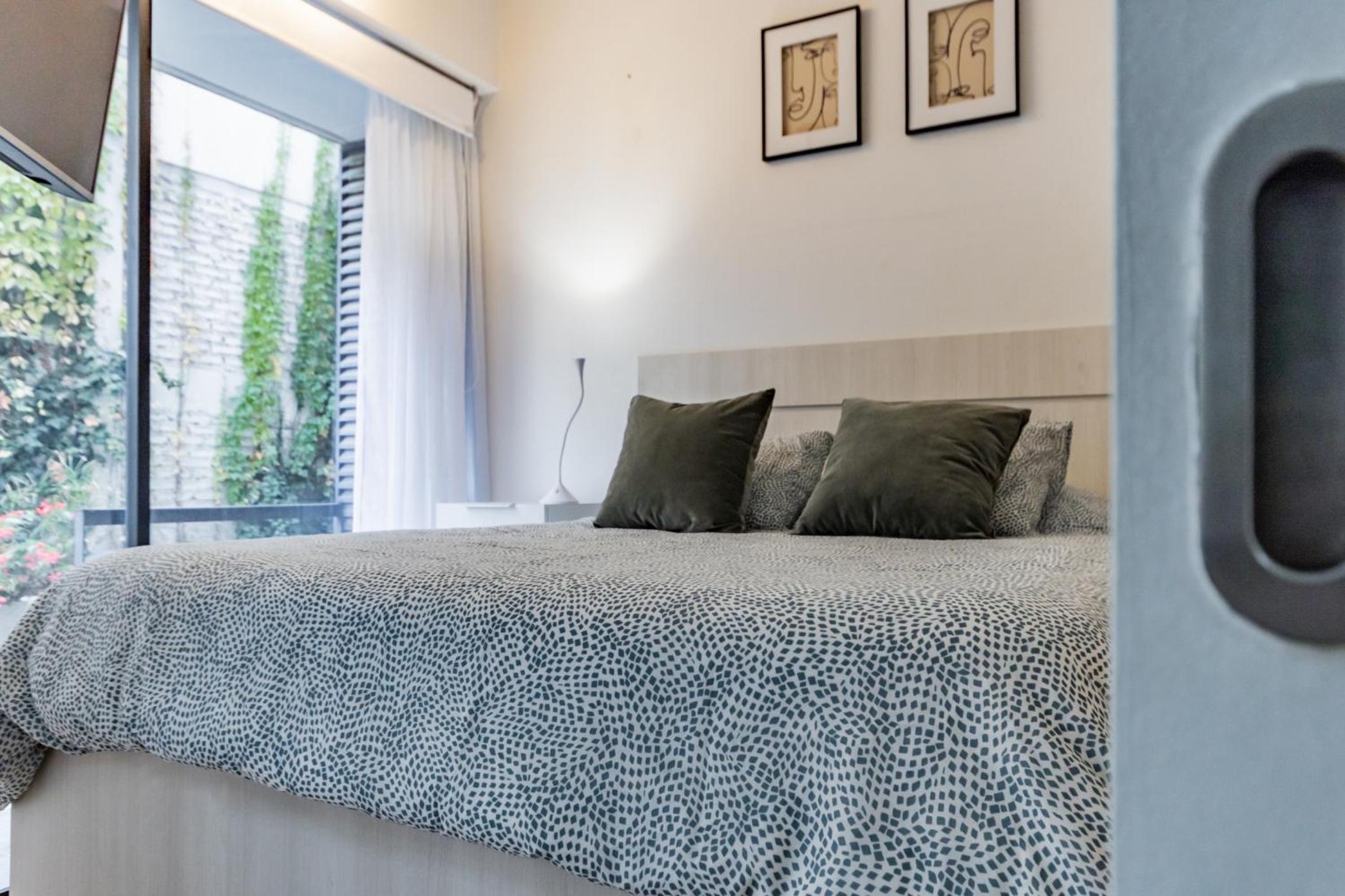 San Carlos rentals - Lastarria