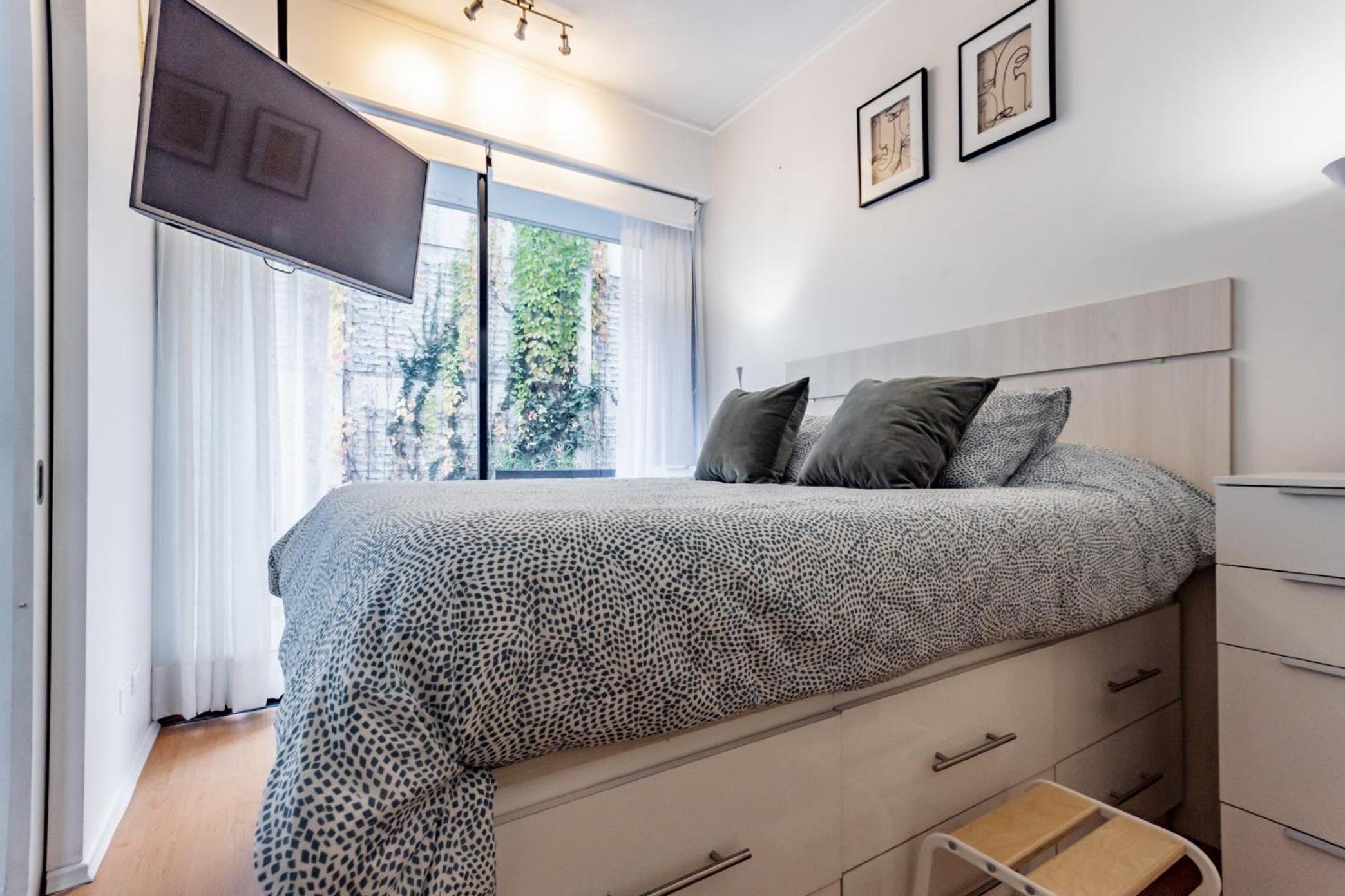 San Carlos rentals - Lastarria