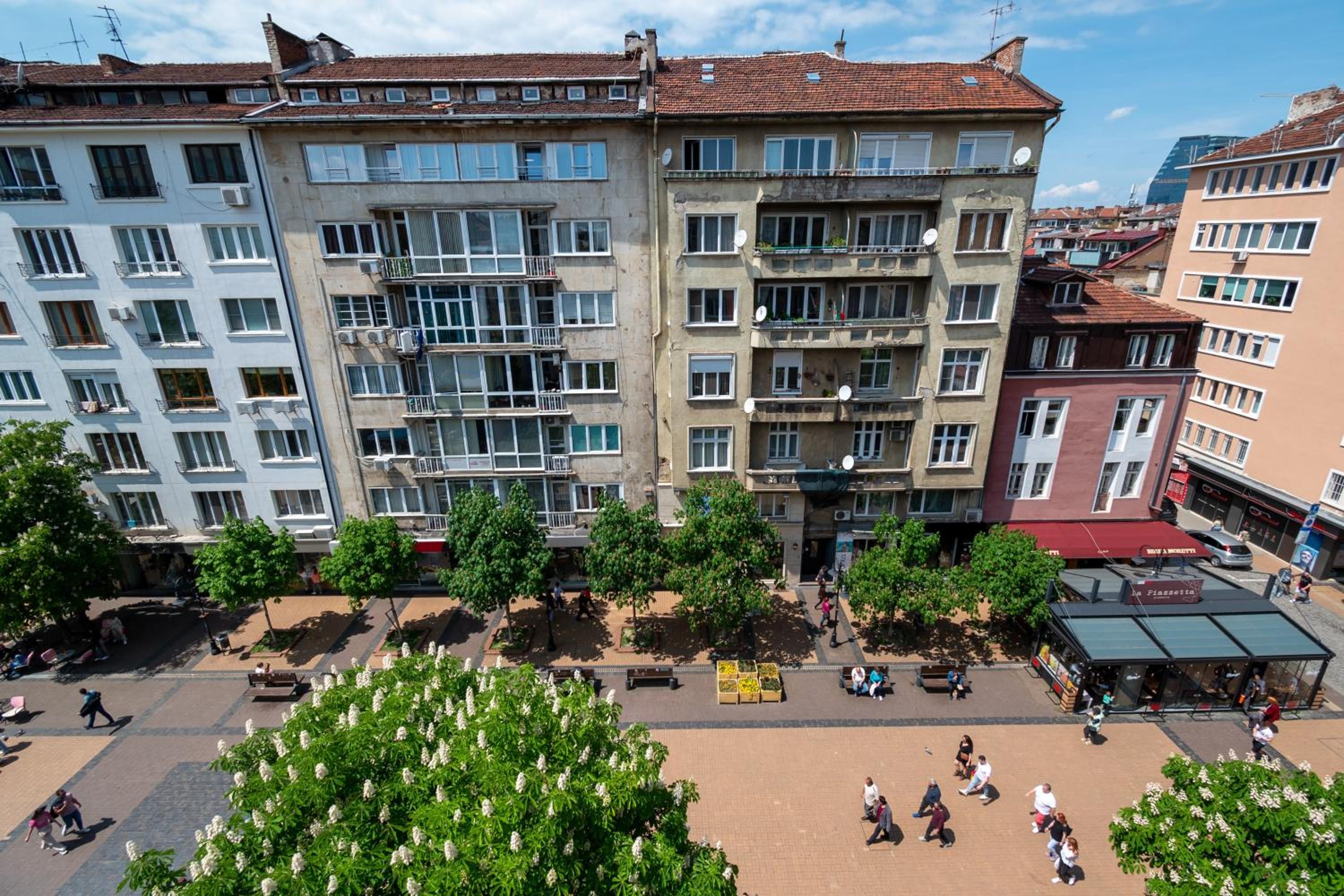 Vitoshka's Finest by BulgarianHomes