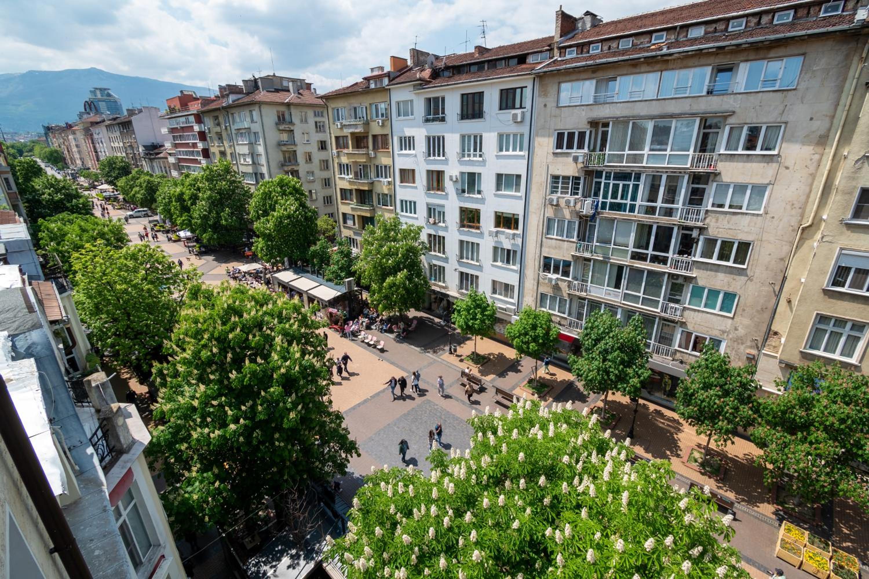 Vitoshka's Finest by BulgarianHomes
