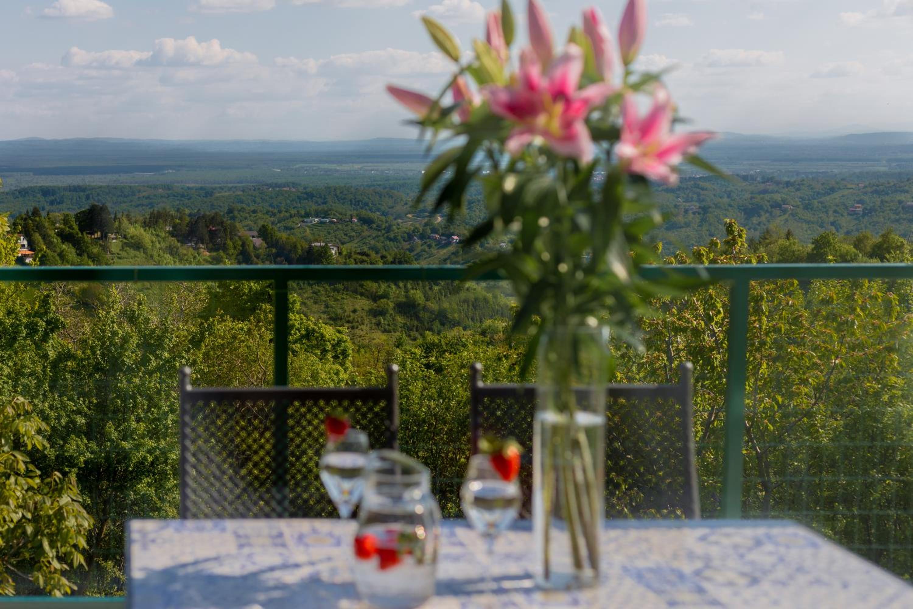 Hotel Villa Plesivica View