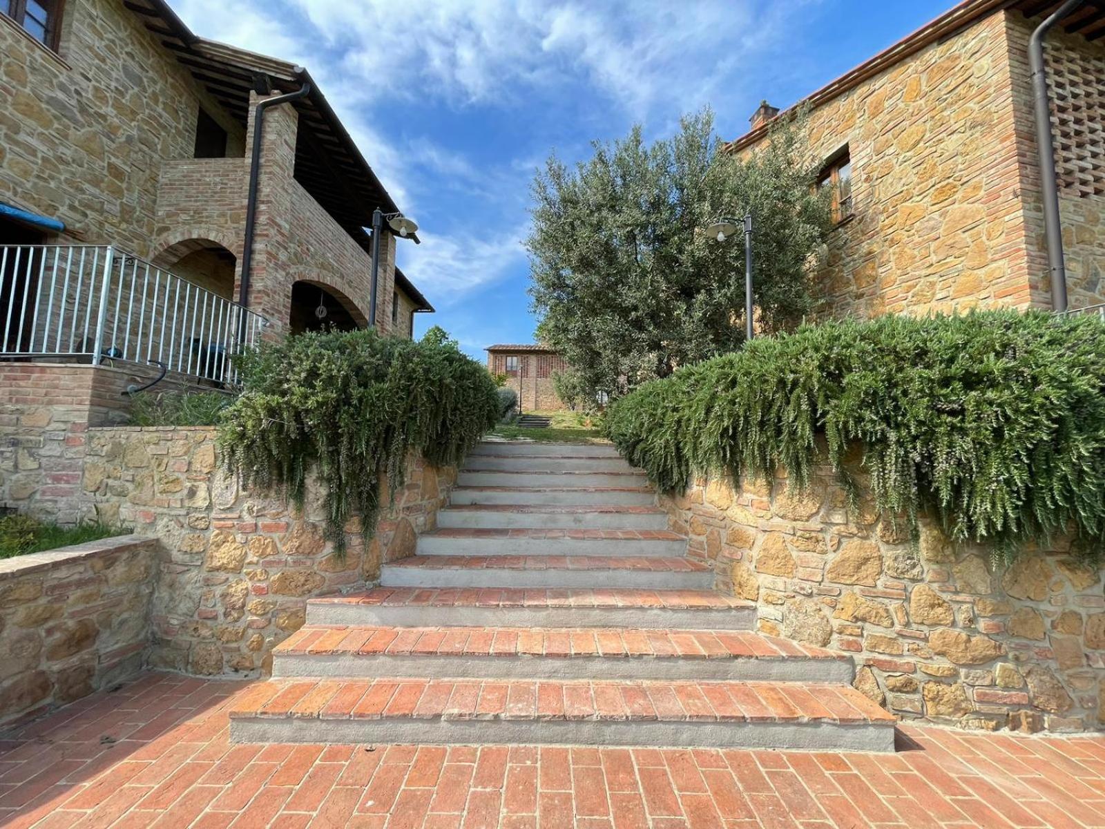 Poggio Giulia view 4