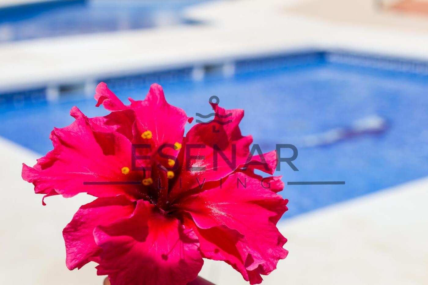 Playaflores Bella Vista