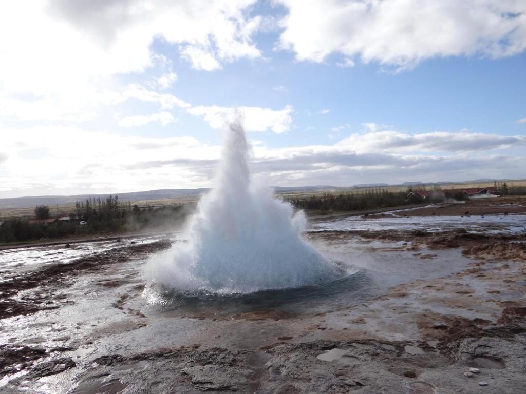 Blackwood cottage near Geysir