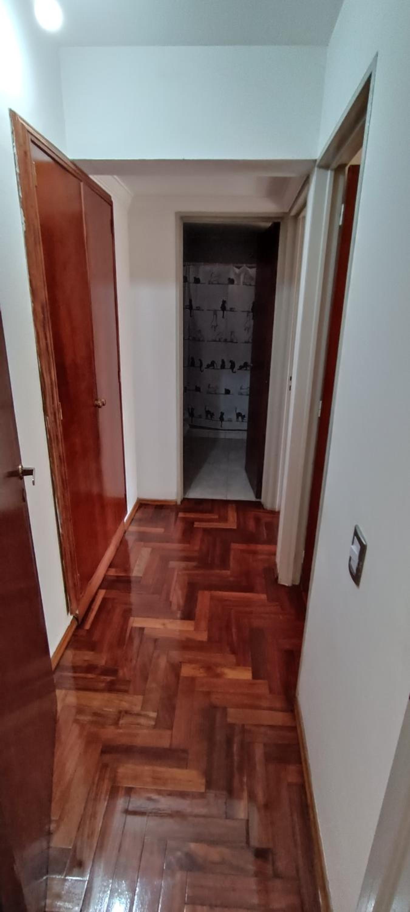 Illía Residential Apartament