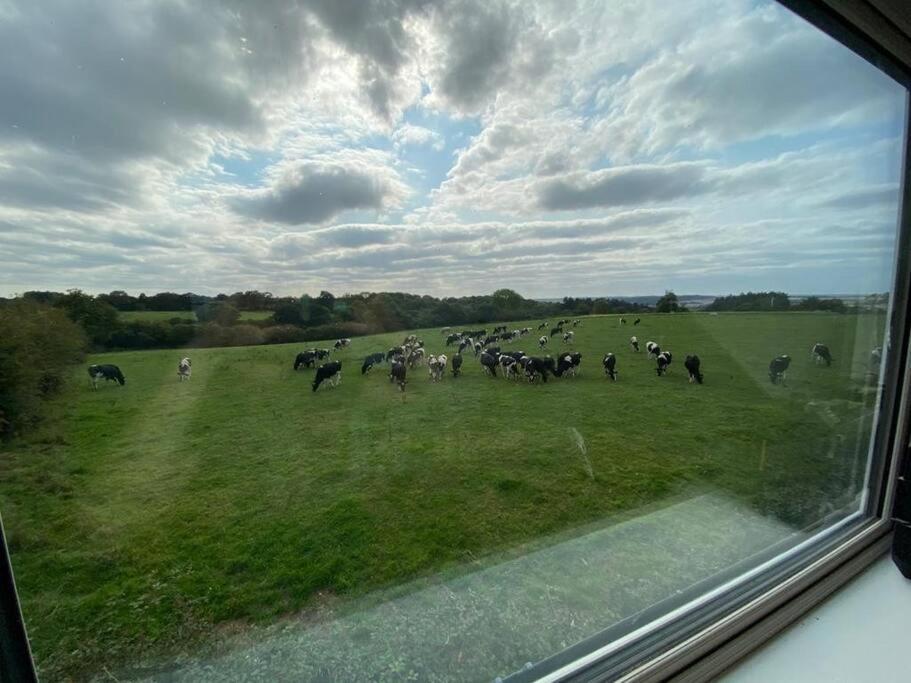 The Swish-New Forest Retreat BALCONY WITH VIEWS view 2