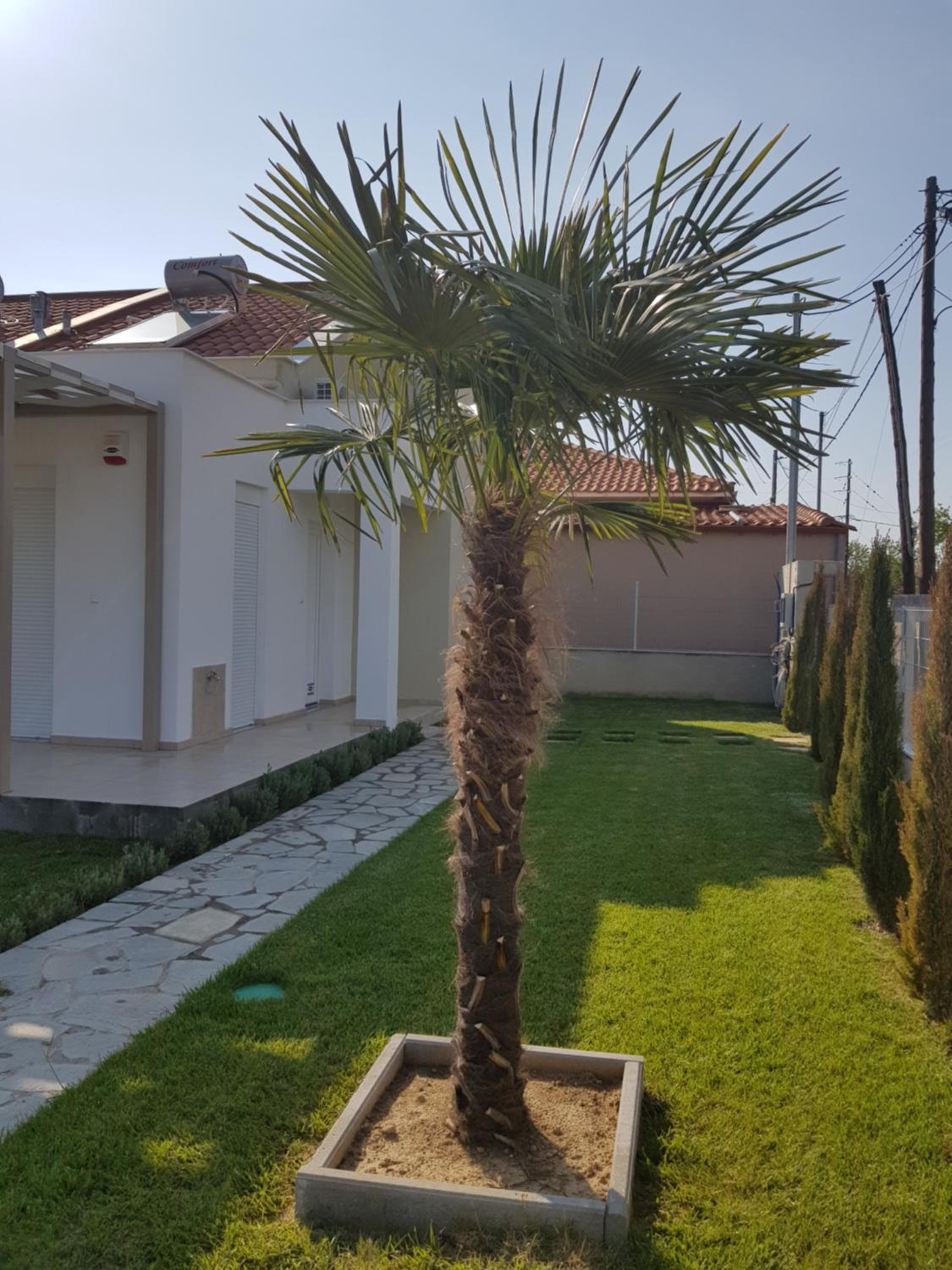 Danai Maisonettes Ofriniou