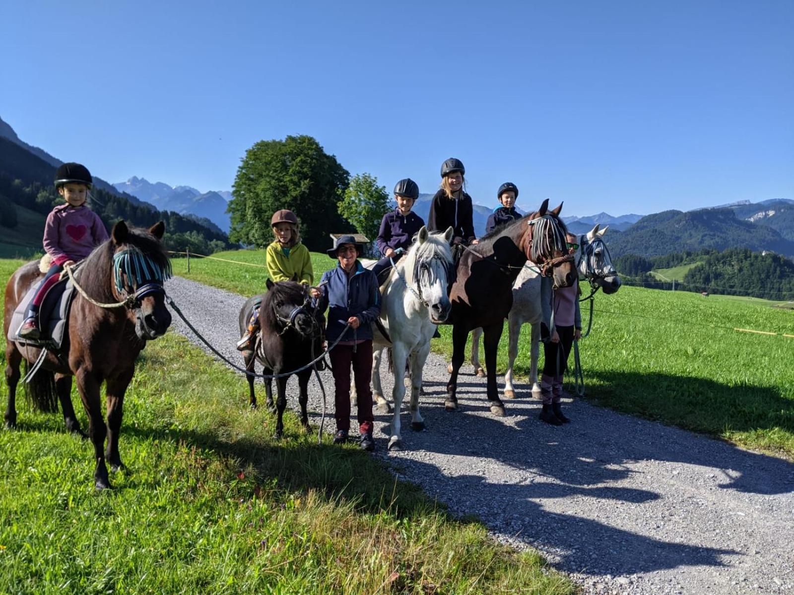 Ponyhof Schöllang